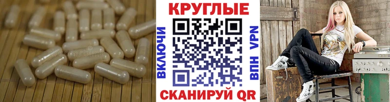 Купить закладки  Николаевск-на-Амуре  Ecstasy Punisher 