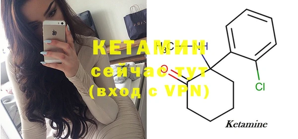 индика Сосновый Бор