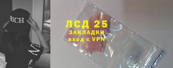 PSILOCYBIN Сосновка