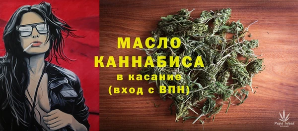 индика Сосновый Бор