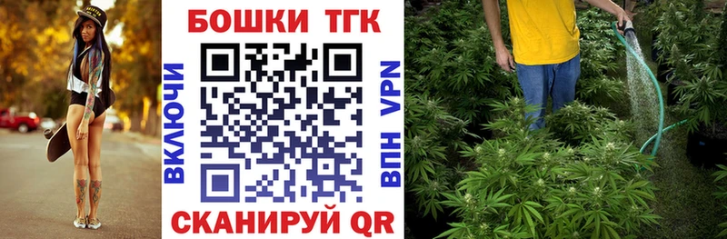Купить  Николаевск-на-Амуре  Бошки Шишки ГИДРОПОН 